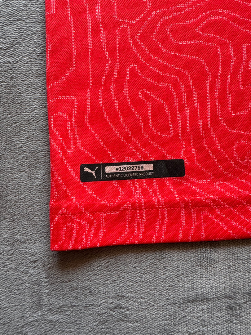 (S) Puma x Swiss Team мъжка тениска