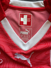 (S) Puma x Swiss Team мъжка тениска
