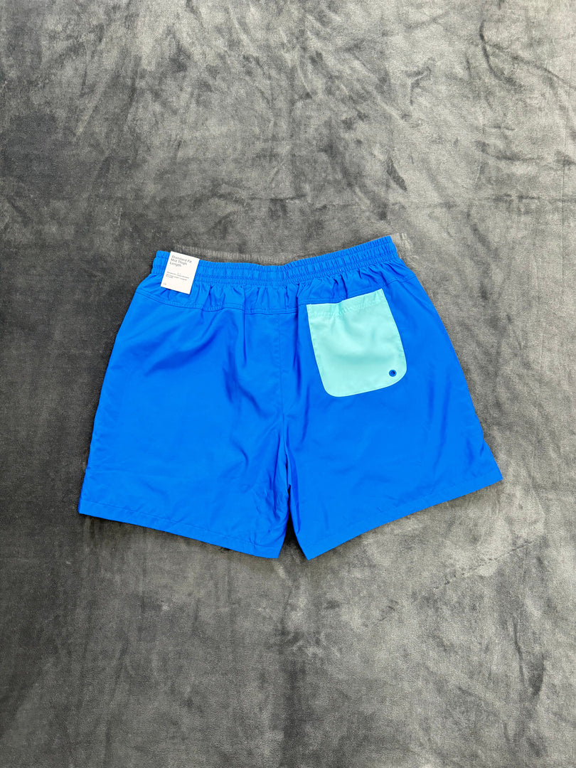 (L/XL) Nike Shorts